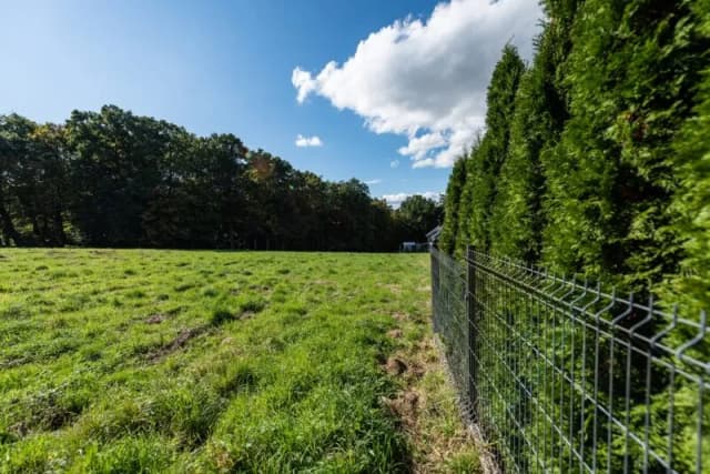 Tuje ile od ogrodzenia – uniknij problemów z sąsiadami i roślinami Tuje ile od ogrodzenia – uniknij problemów z sąsiadami i roślinami