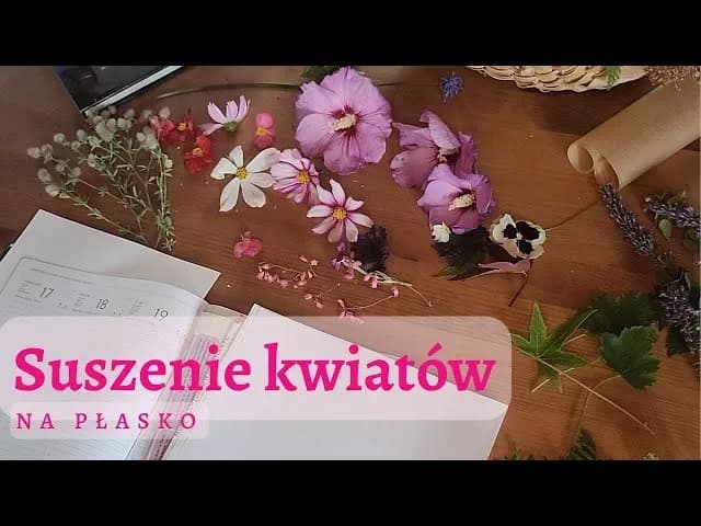Jak suszyć kwiaty na płasko, aby uniknąć pleśni i zgnilizny Jak suszyć kwiaty na płasko, aby uniknąć pleśni i zgnilizny